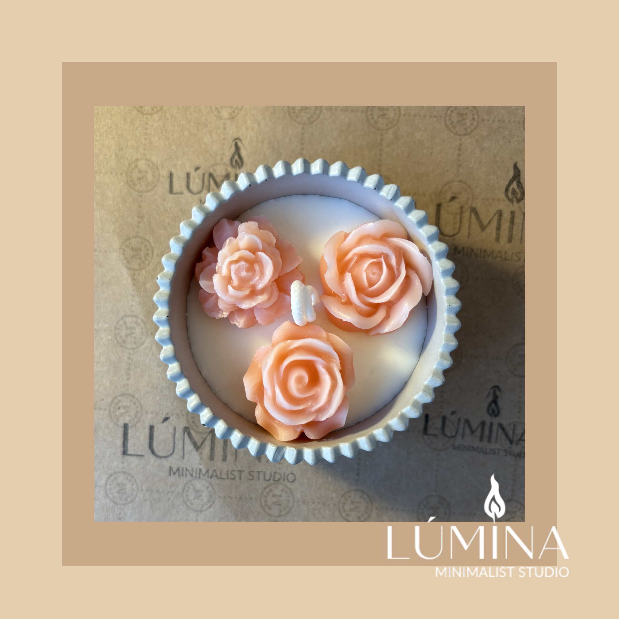 MINI ROSE BLOOM SANCTUARY