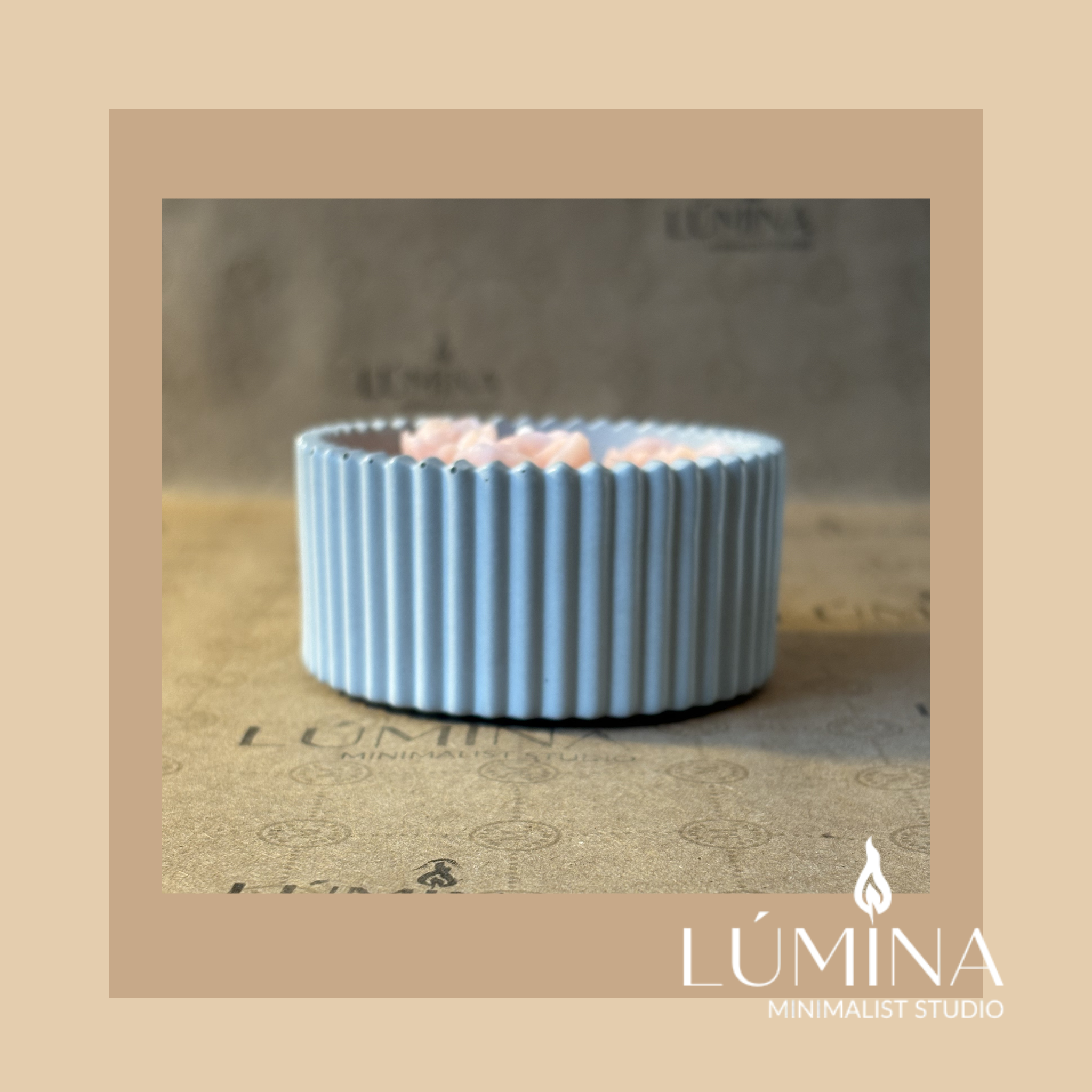 MINI ROSE BLOOM SANCTUARY