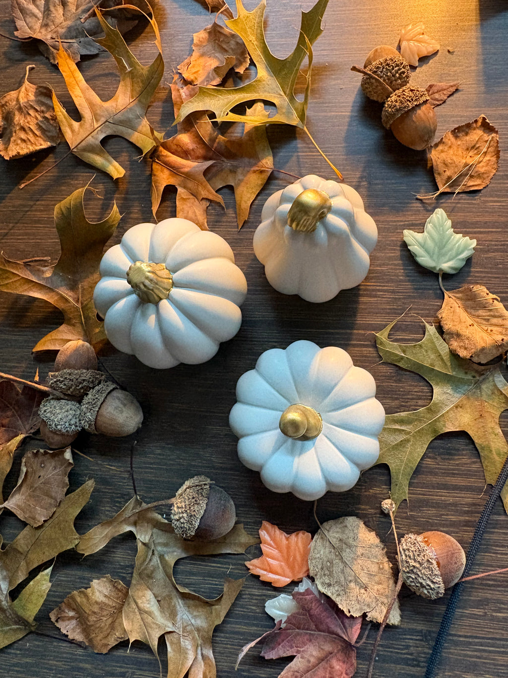 THE AUTUMN EDIT