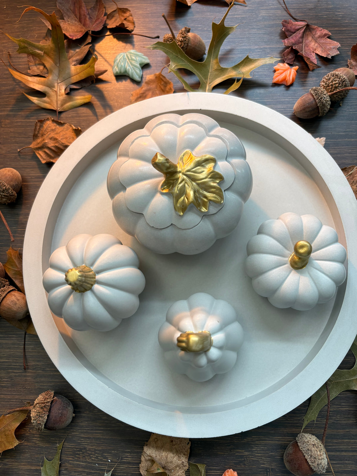 THE AUTUMN EDIT