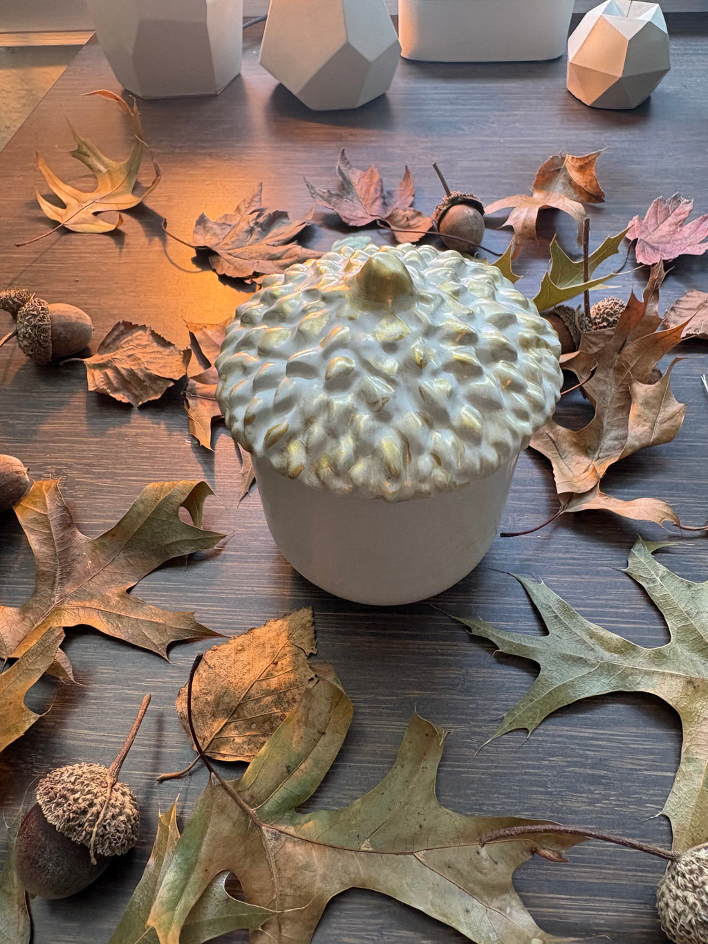 HARVEST ACORN