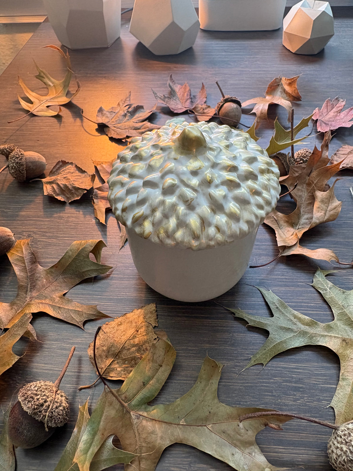 HARVEST ACORN