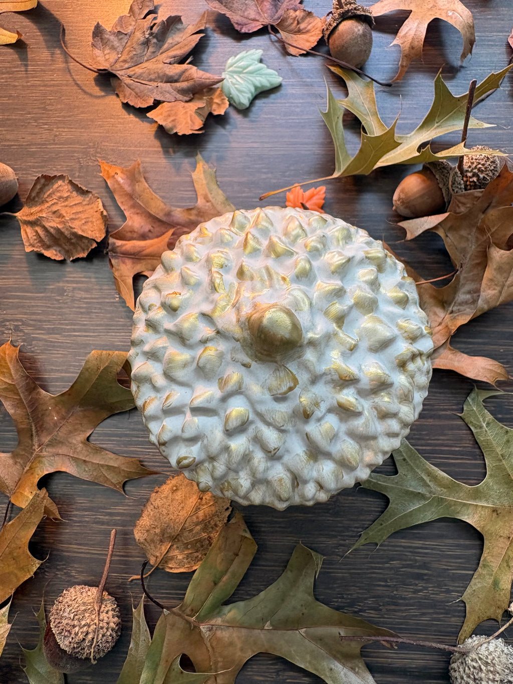 HARVEST ACORN