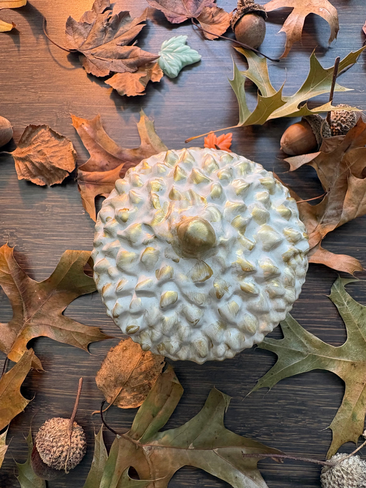 HARVEST ACORN