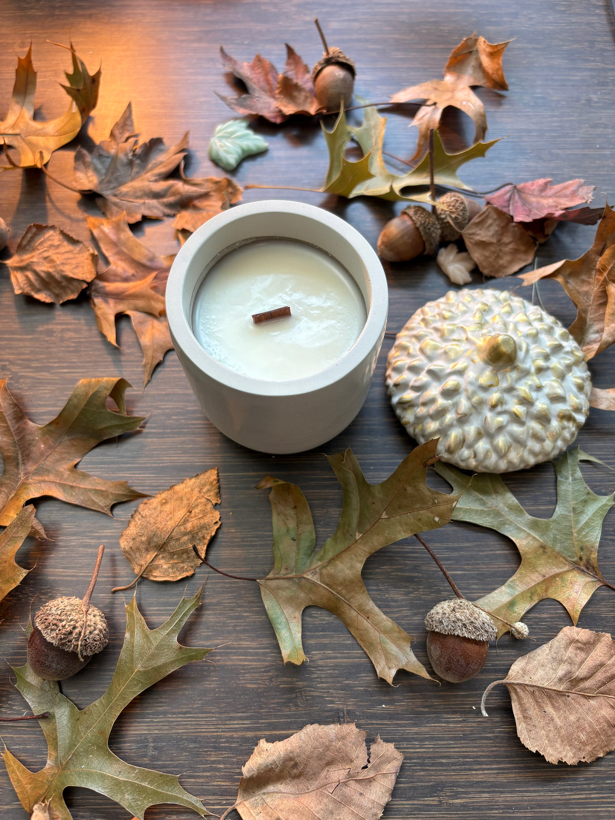 HARVEST ACORN