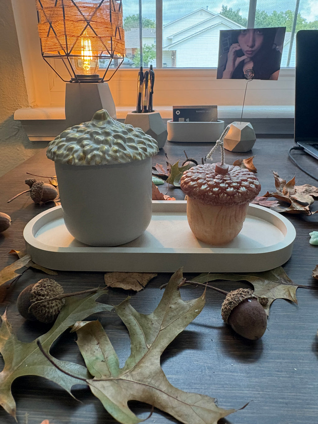 HARVEST ACORN SET