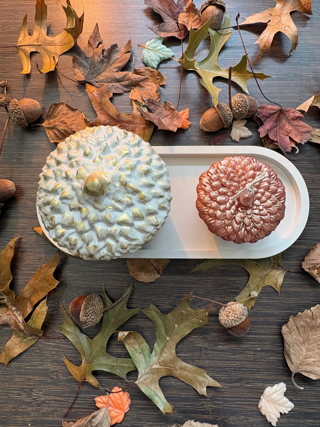 HARVEST ACORN SET