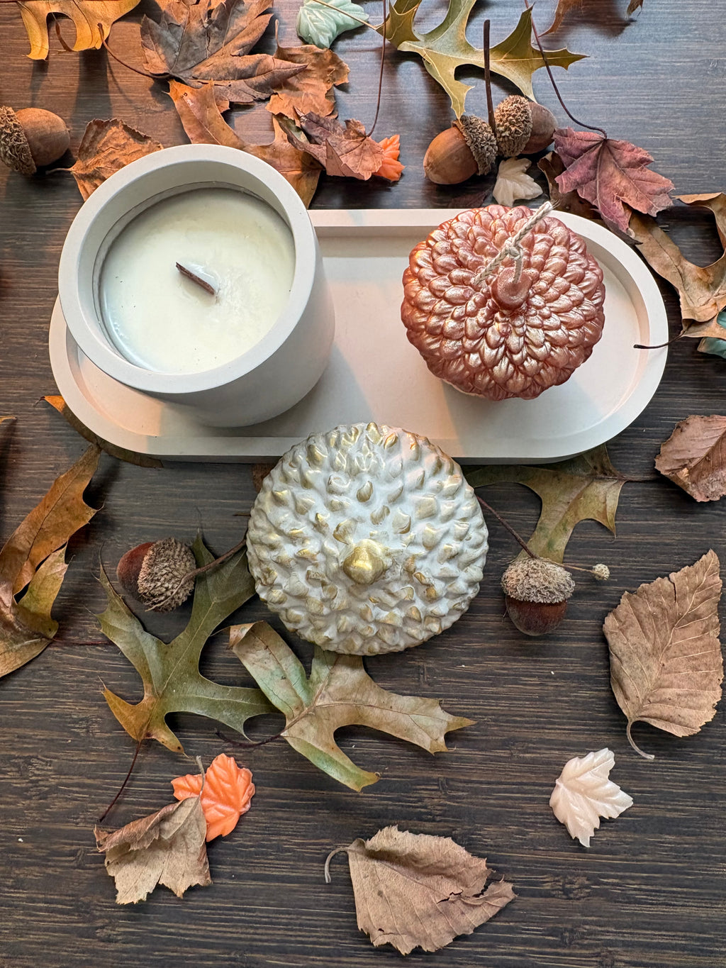 HARVEST ACORN SET