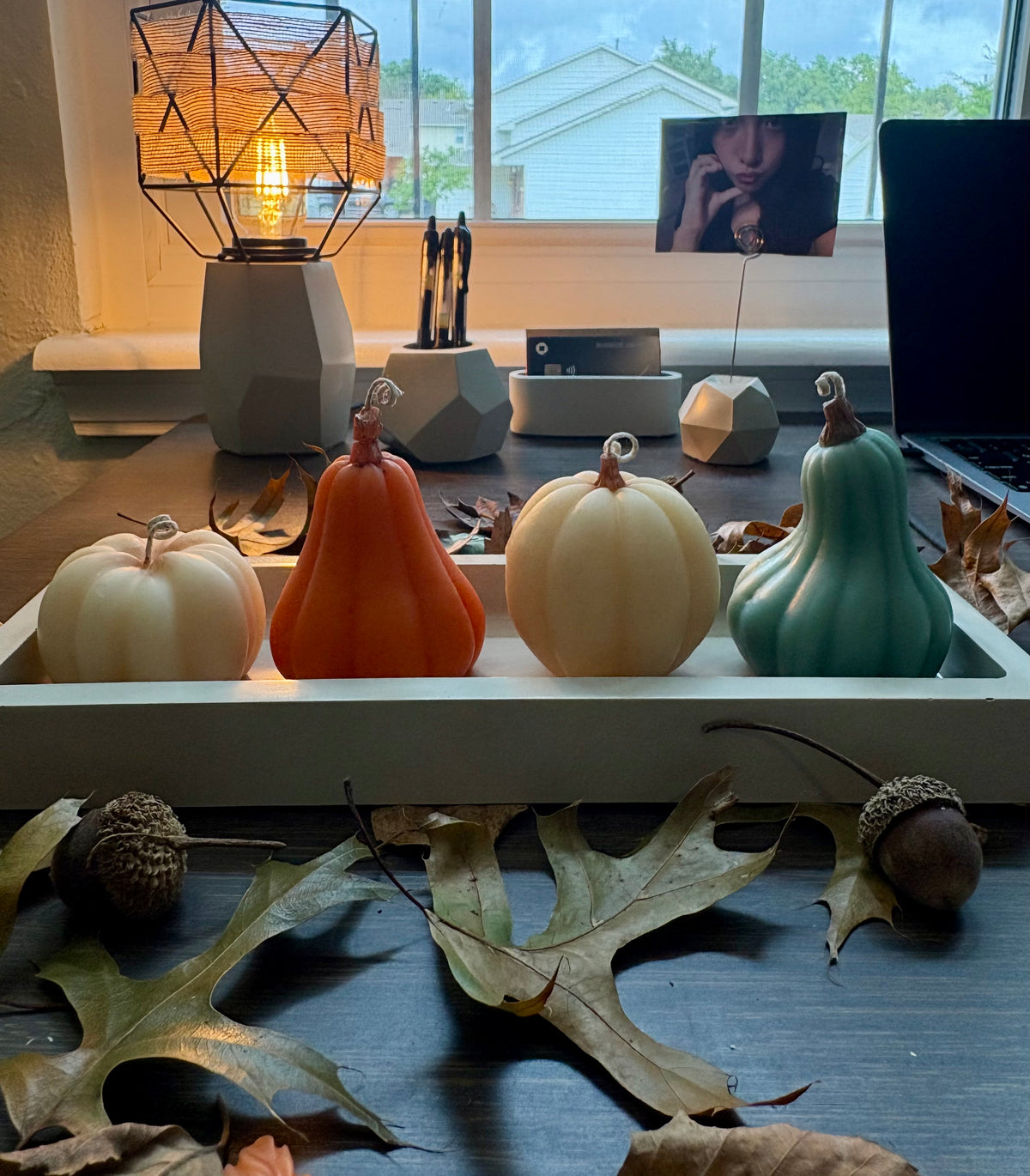 HARVEST FORMS SET