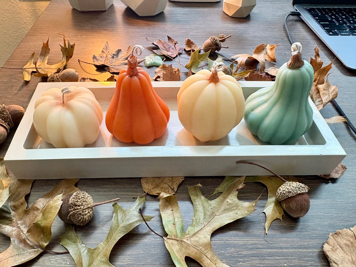 HARVEST FORMS SET