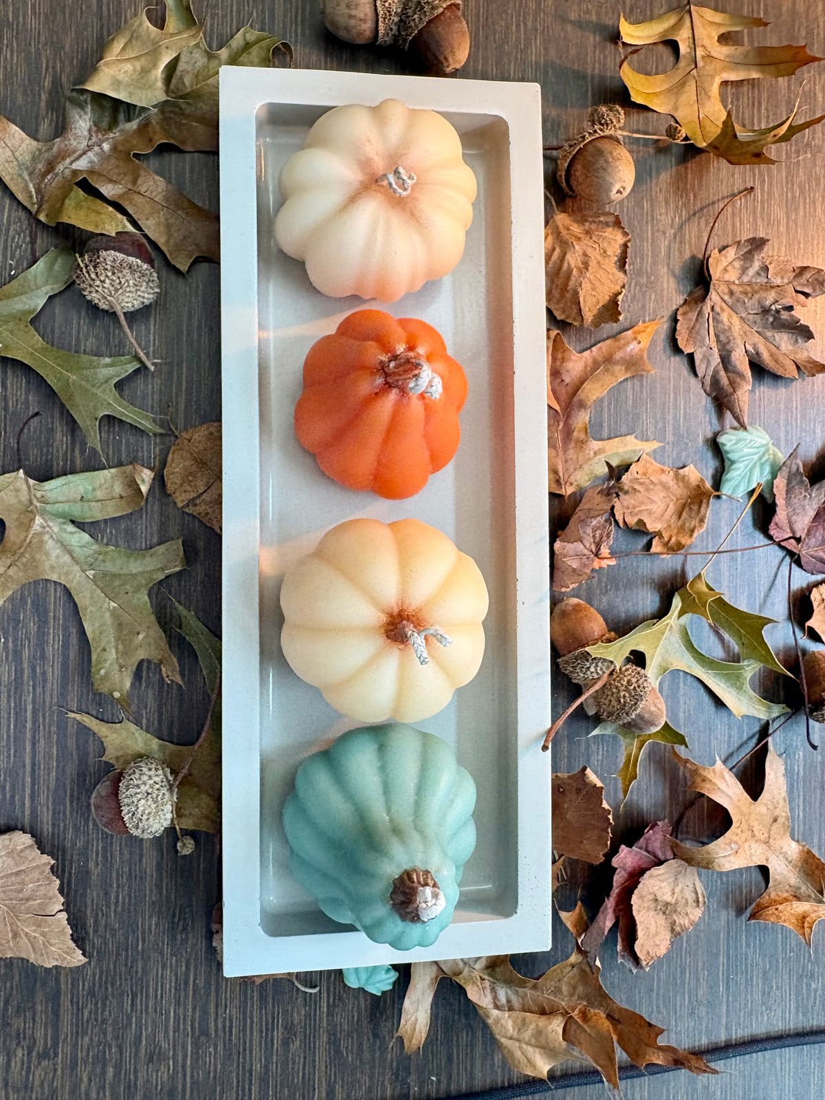 HARVEST FORMS SET